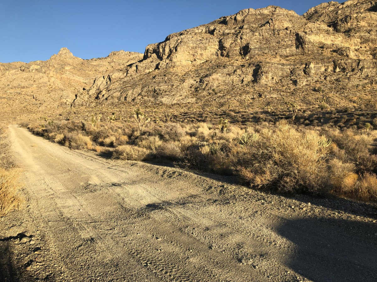 Cow Camp Road photo 6