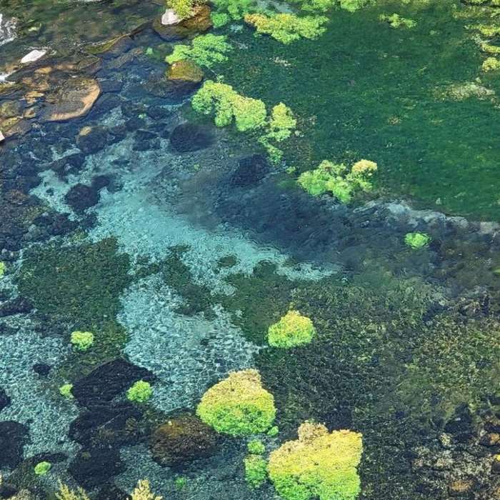 Near Box Canyon Loop