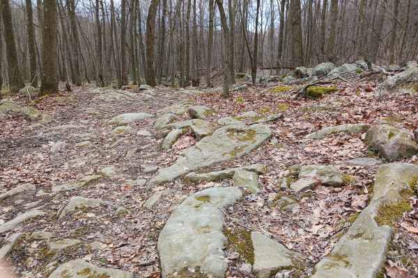 OHV 53 - Rock Run Recreation Area