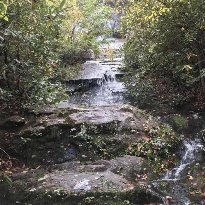 Near Lost Cove Trail