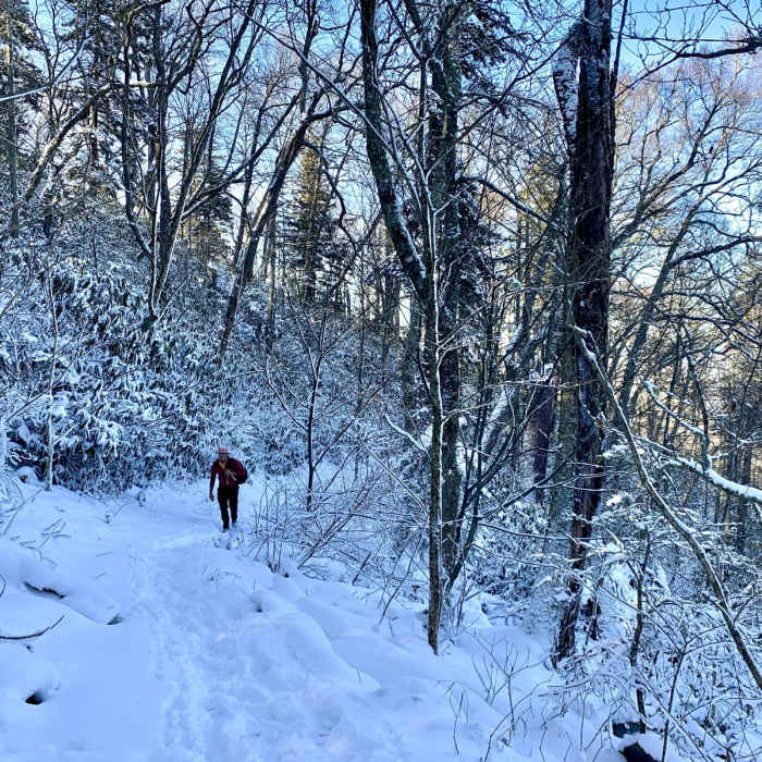 Near Mount Sterling via Baxter Creek Trail Near Mount Sterling via Baxter Creek Trail