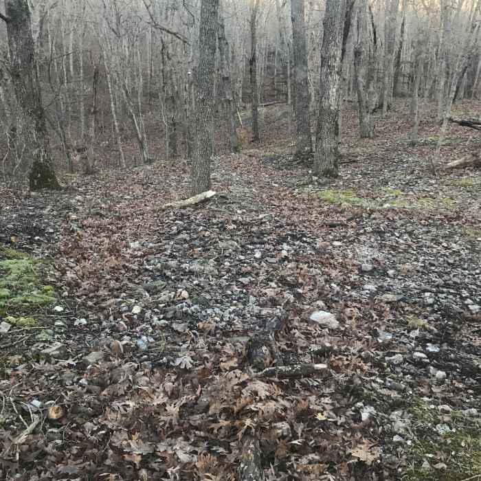 Nice view on ridge Near Berry Bend East