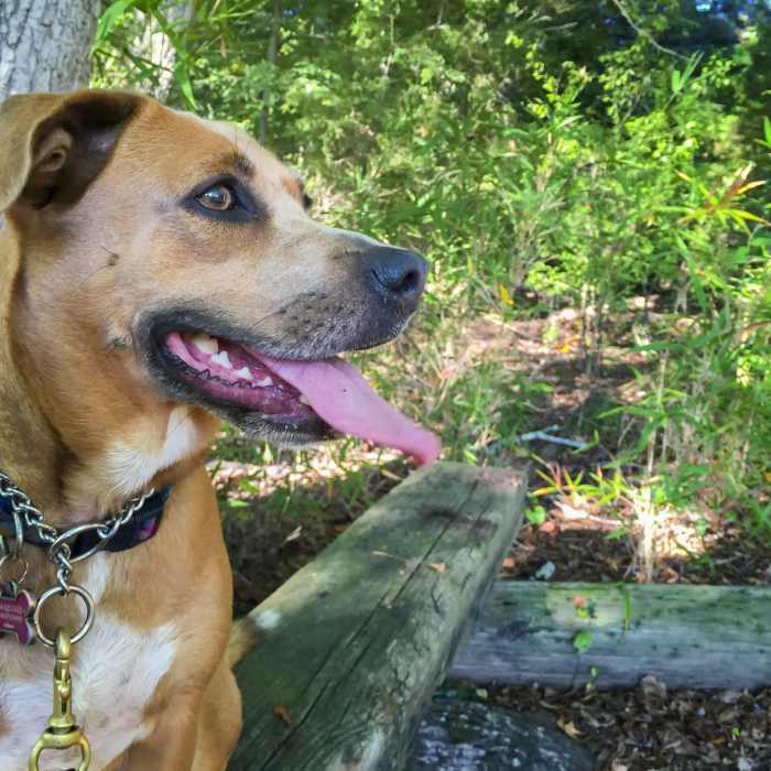 end o trail bench Near Seven Oaks Preserve Trail