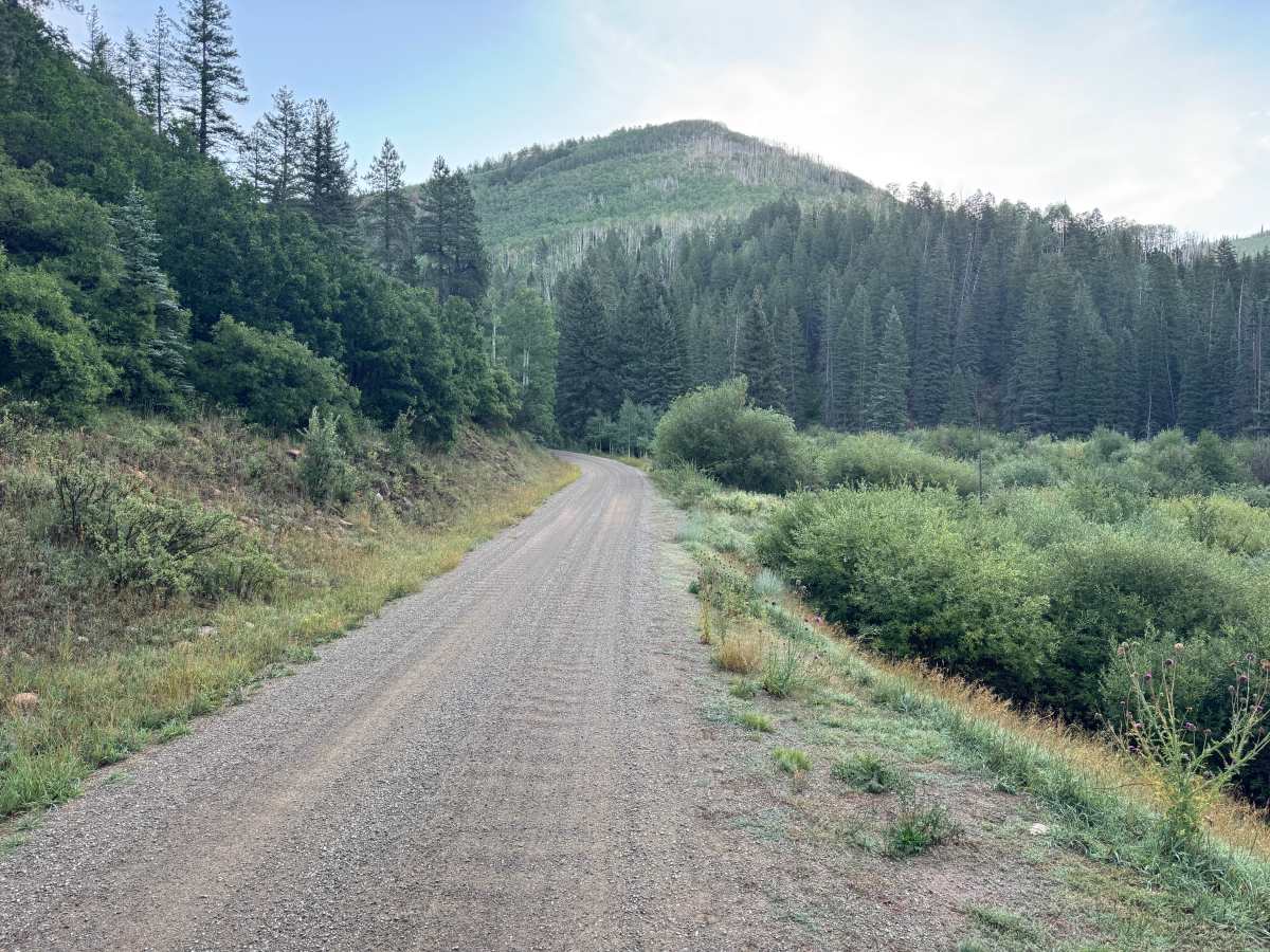 Taylor Creek Road photo 3