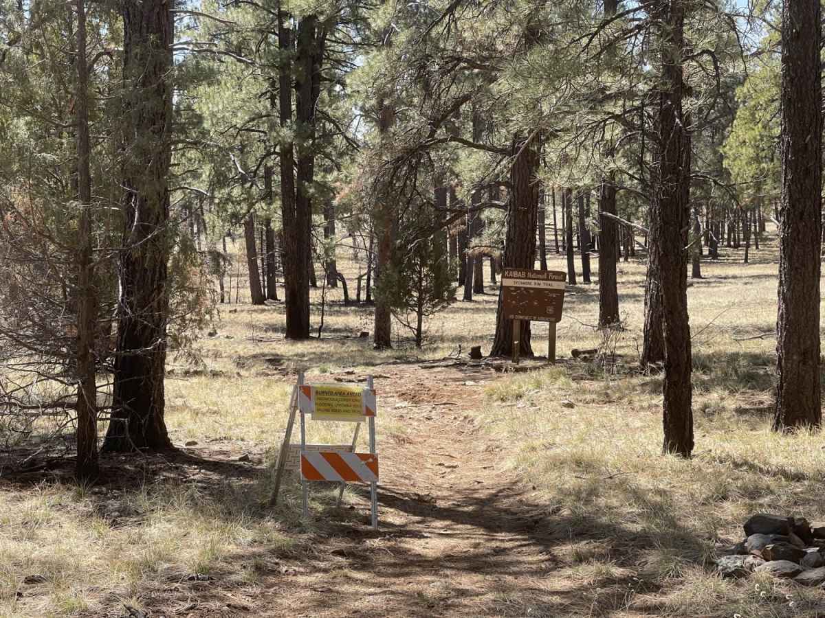 Double Tank Trailhead photo 5
