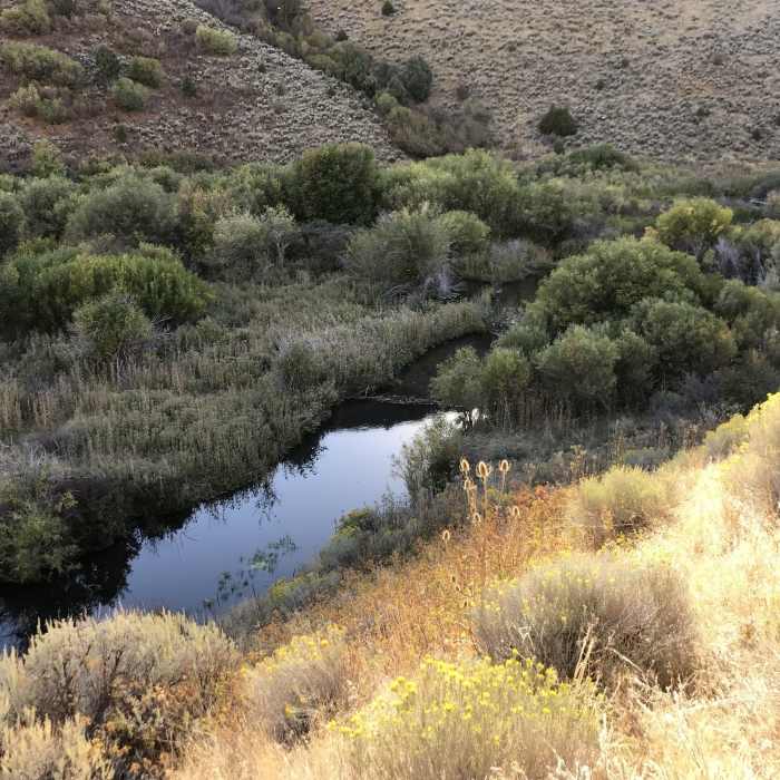Some impressive beaver ponds visible from the Third Fork Rock Creek Trail. Near Third Fork/Wahlstrom Hollow Loop