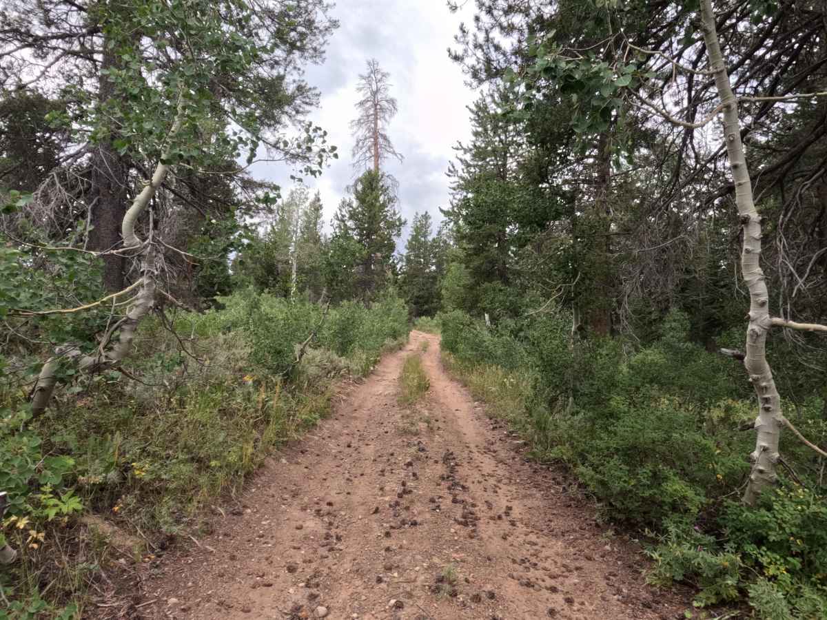 Lower Charity Spur A - FS 31206A photo 5