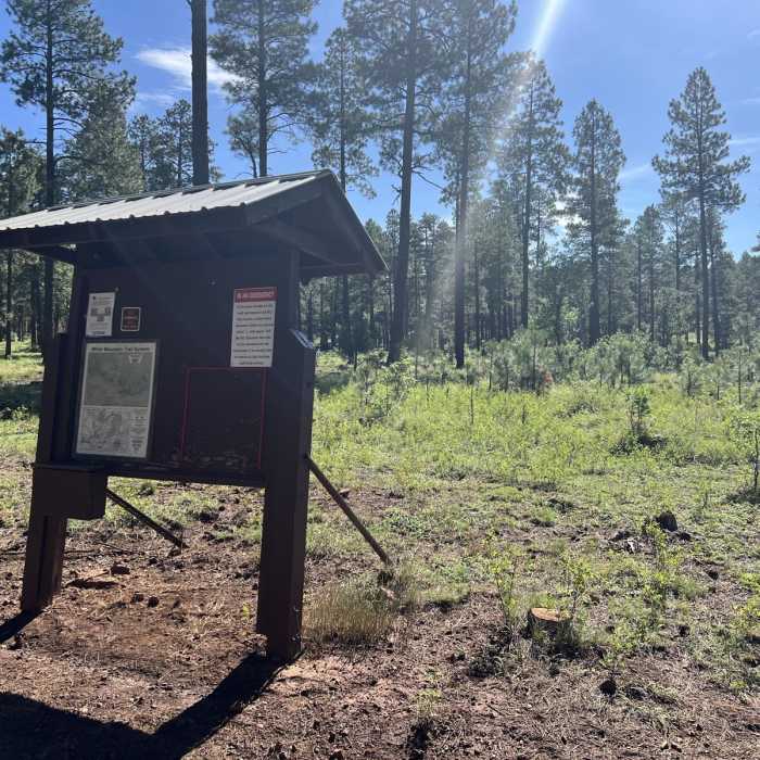 Near Lake Mountain Trail