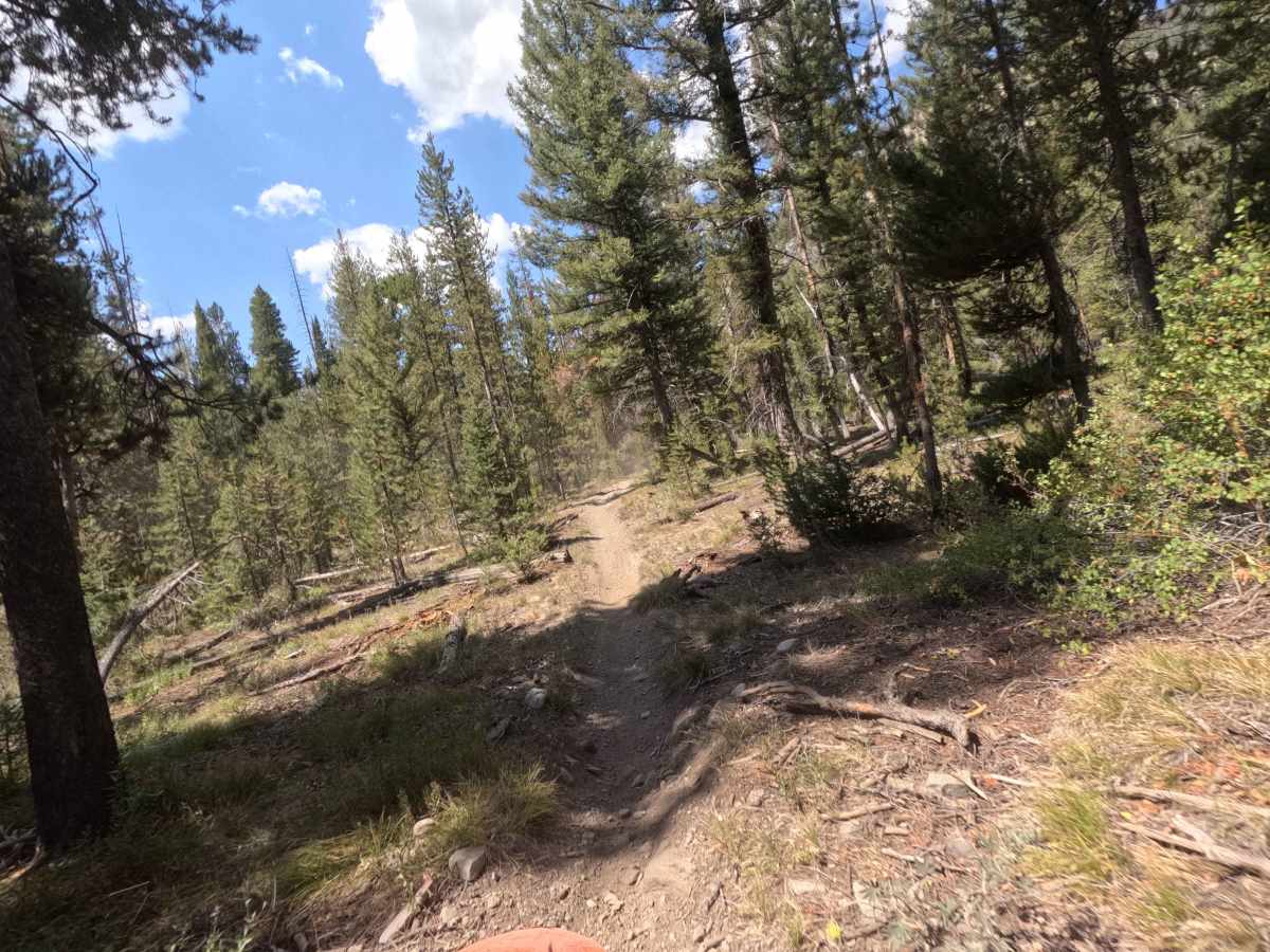 West Fork Big Smoky Creek - FS 7224 photo 3