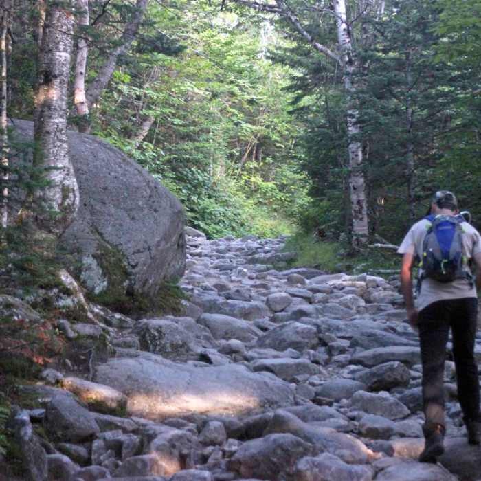 Near Pinkham Notch to Mount Washington Summit Near Pinkham Notch to Mount Washington Summit