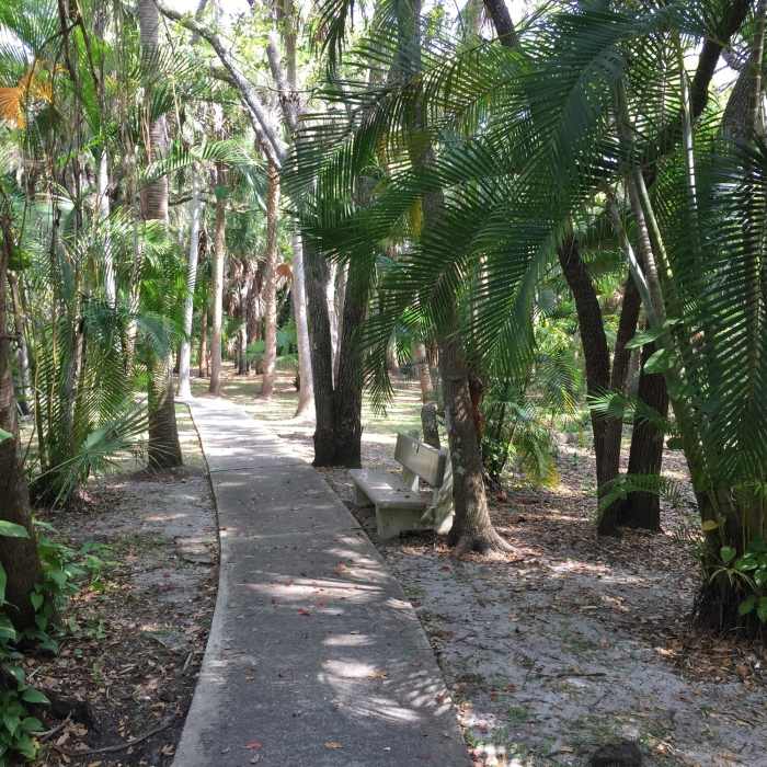 These are just a few of the 60 species of palm in the garden. Take a seat on one of the park's numerous benches and enjoy them! Near Florida Institute of Technology Botanical Garden
