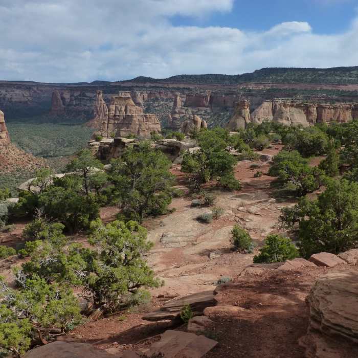 Near Window Rock Trail