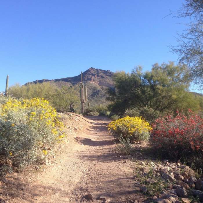 Near Usery Mountain Regional Park Southeast Trails Loop