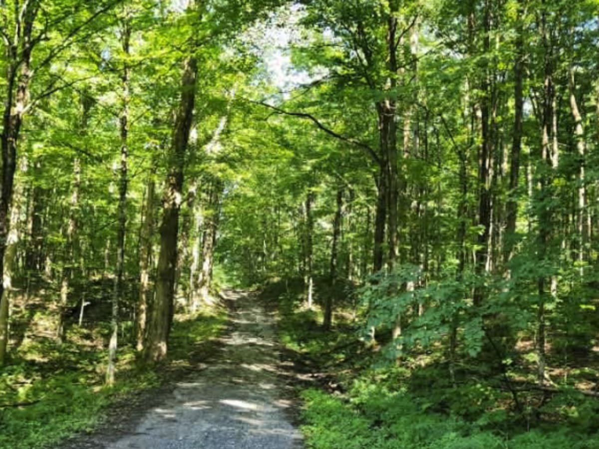 Boody Hill Trail photo 4