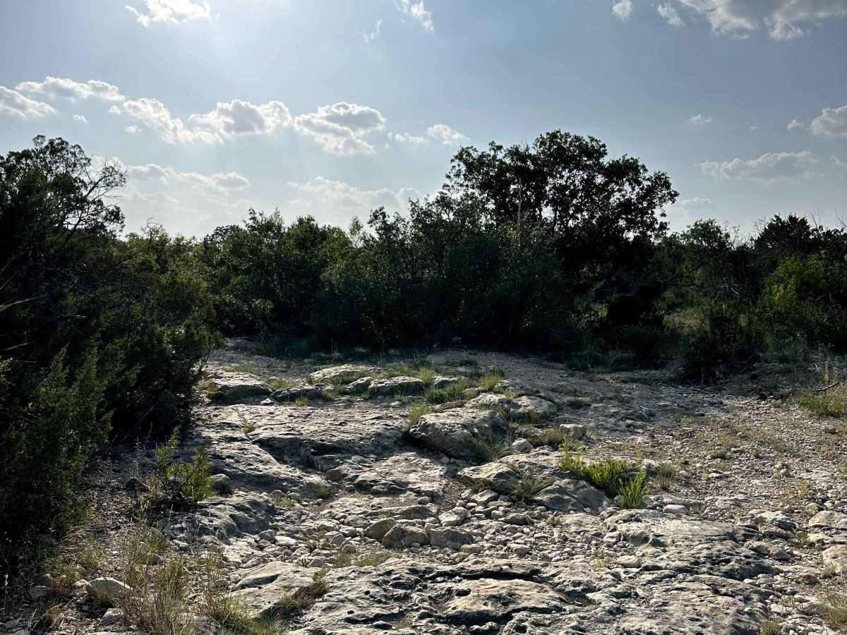 Big Draw Trail - V27 trail photo