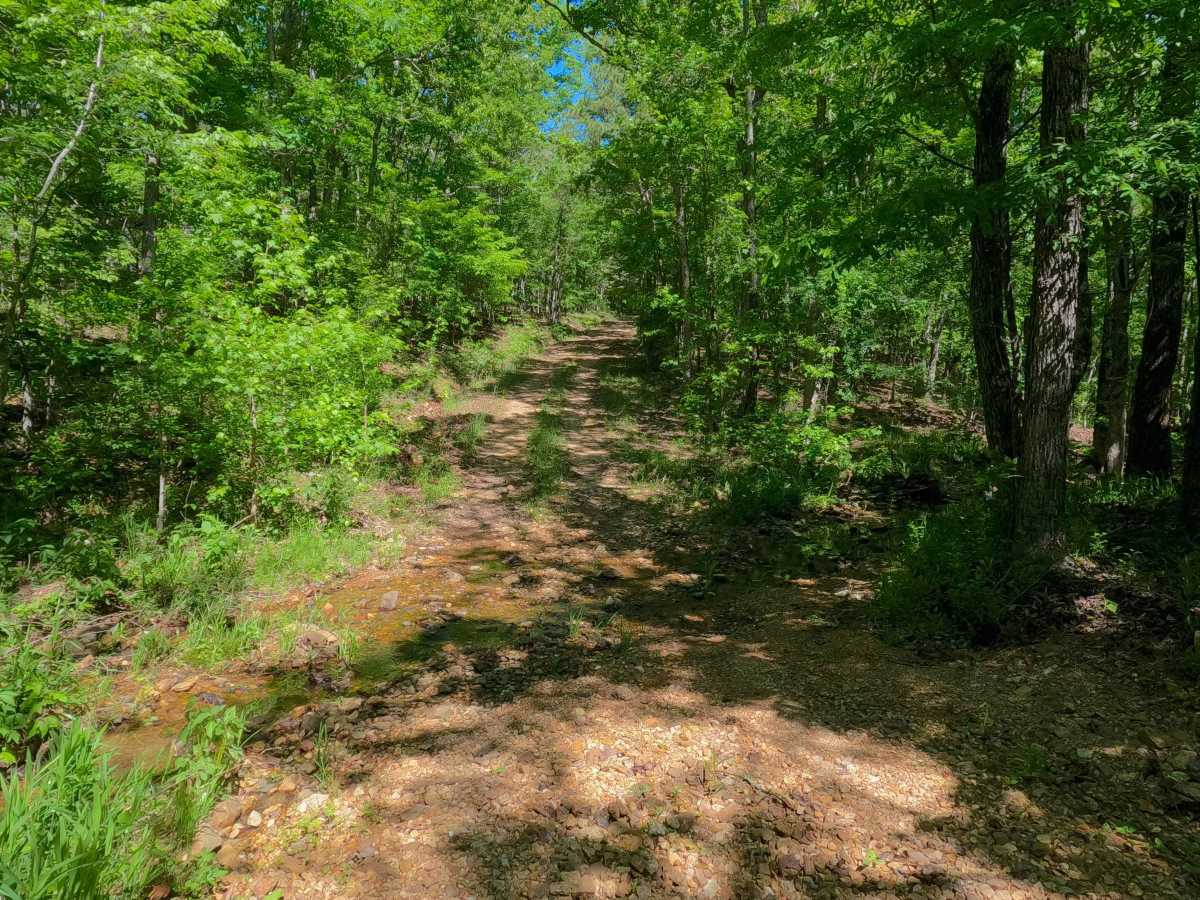 Grassy Hollow - FS 3714 photo 6