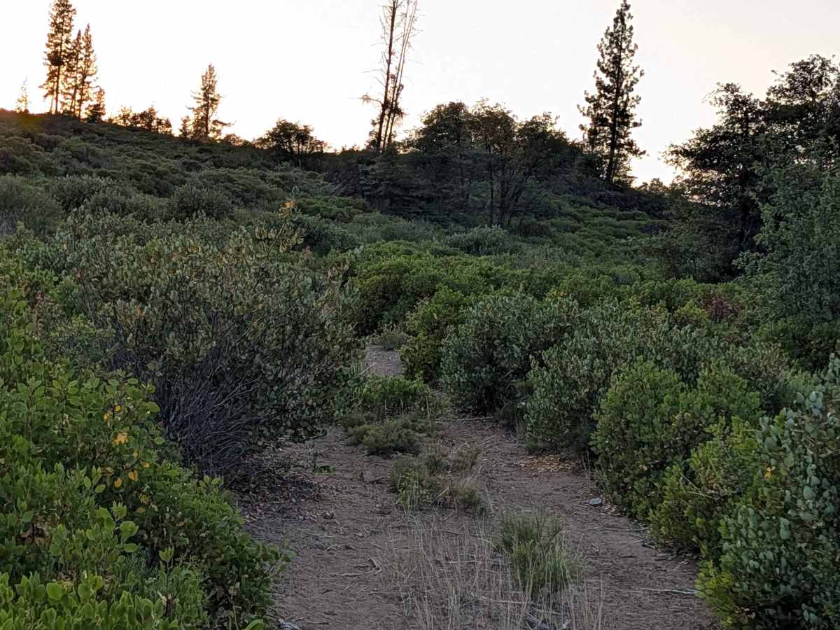 Stud Hill South - FS 42N26 photo 6