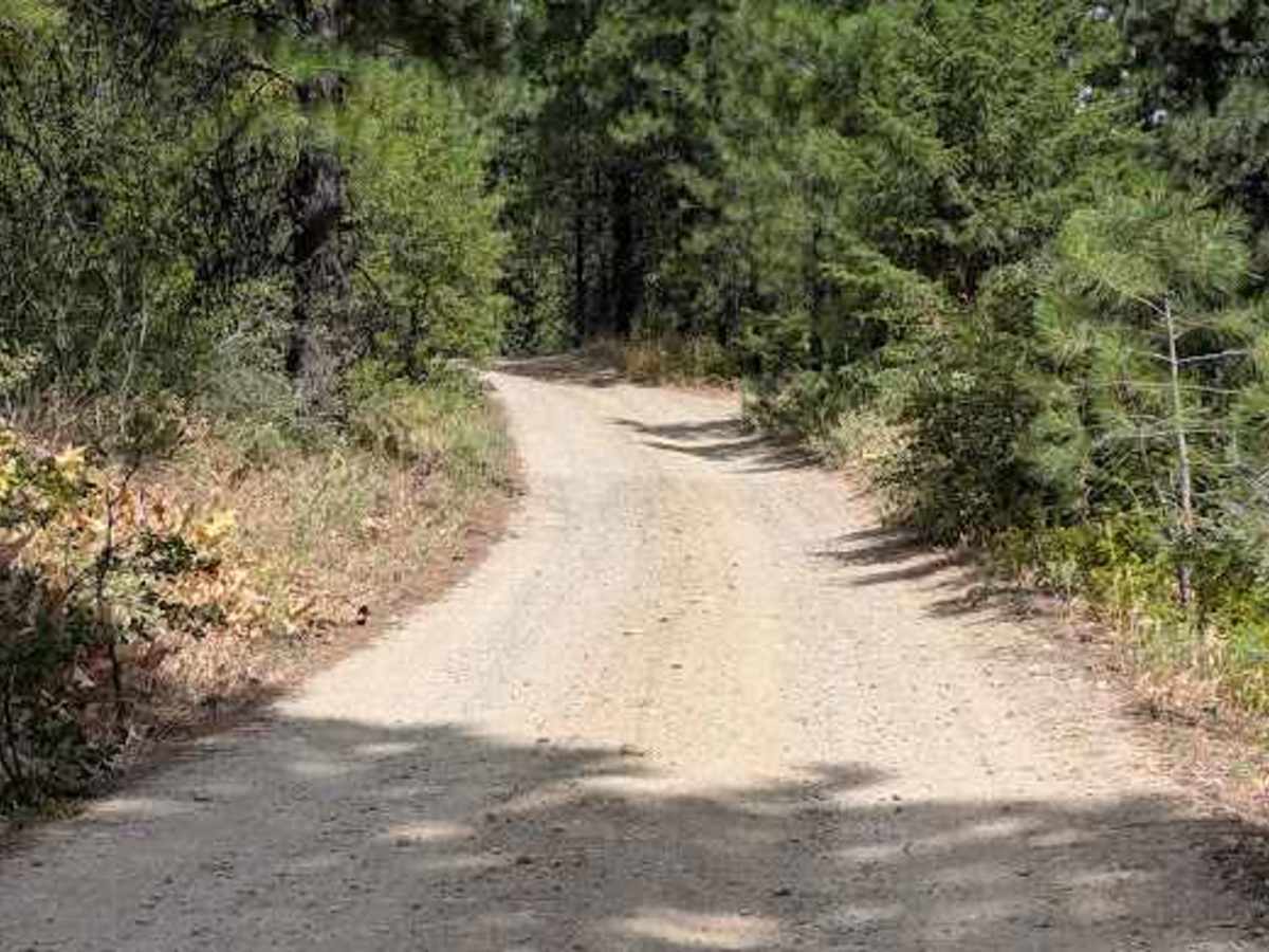 Boundary Butte Road - FS 7300-500 photo 3