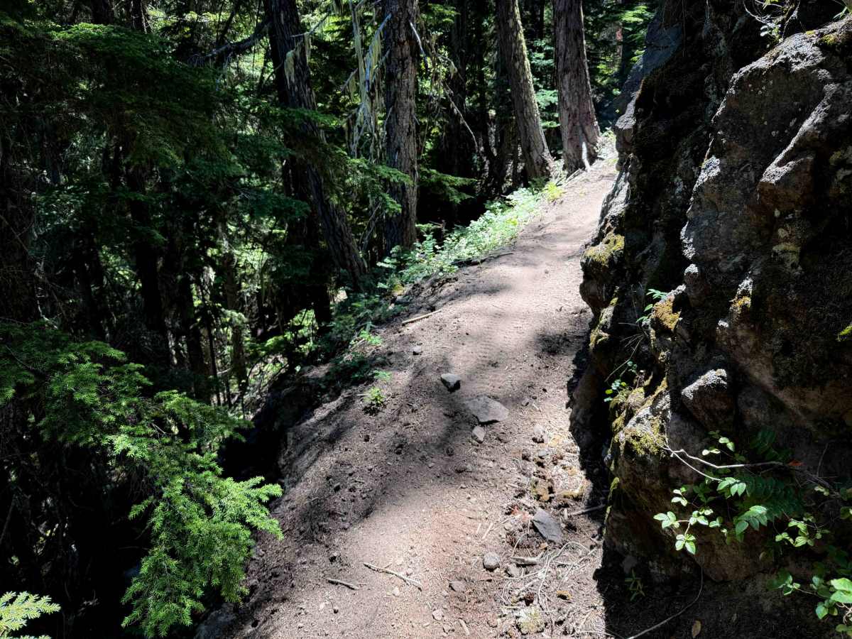 West Quartz Creek Loop - 952 photo 4
