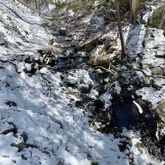 Near Meyer Preserve Full Perimeter