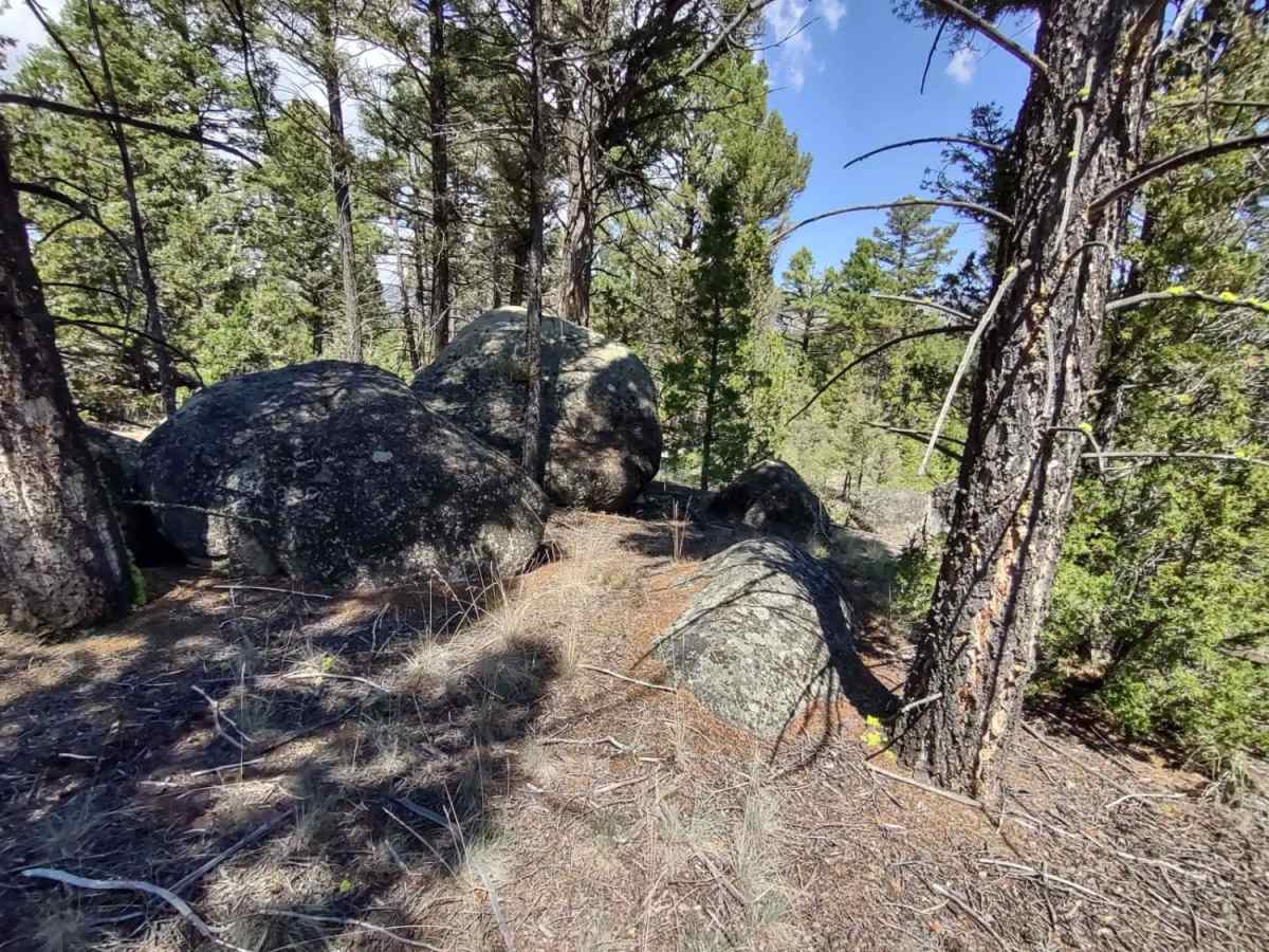 Trail Less Traveled photo 5
