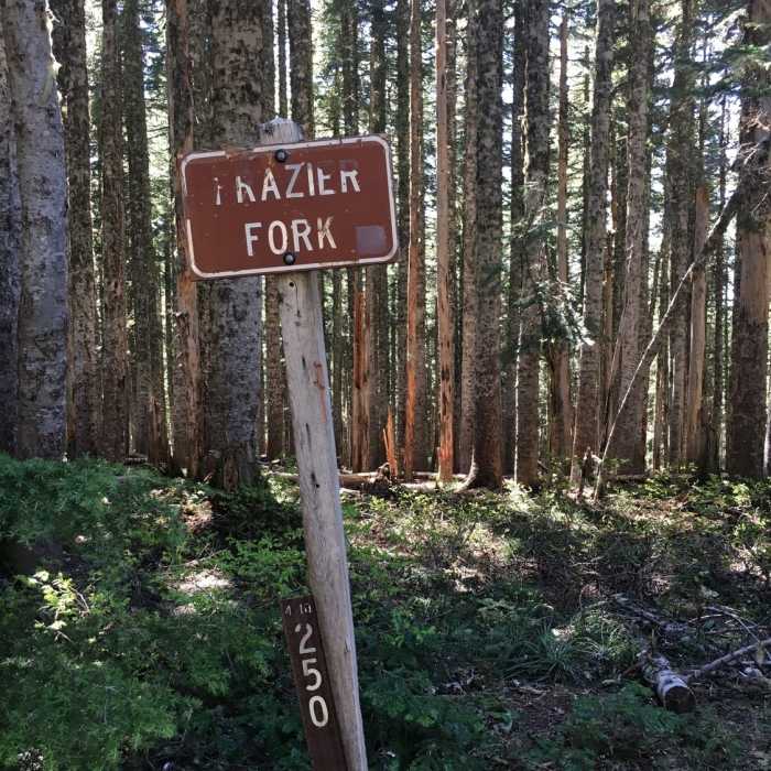 Near Shining Lake Trail #510