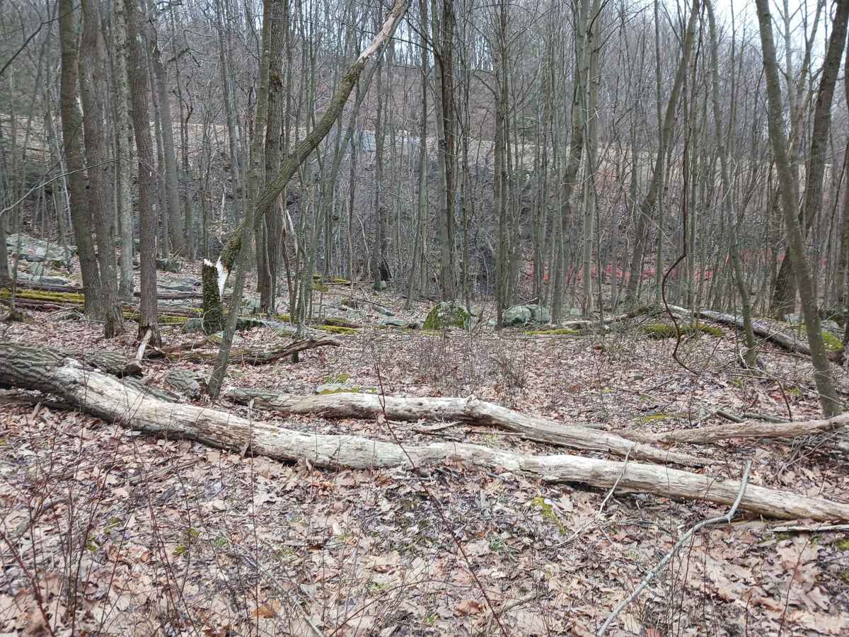 OHV 55 - Rock Run Recreation Area photo 4