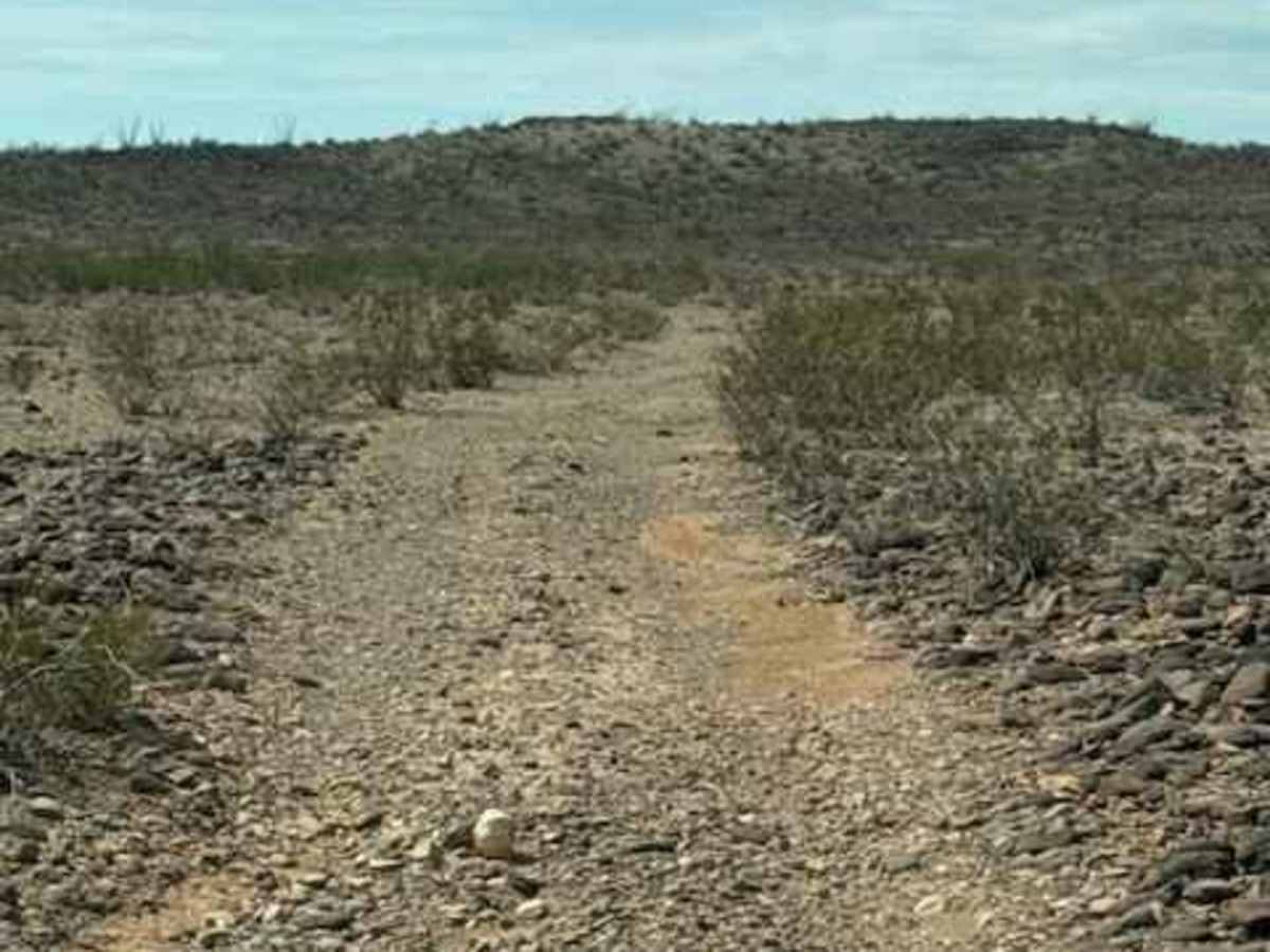 PE1045 trail photo