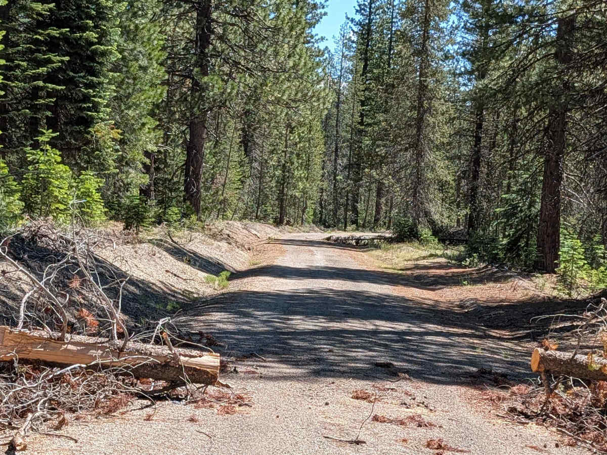 Lost Spring "Pigs Ear" East - FS 43N04 photo 5