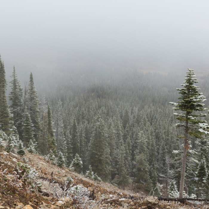 Near Hardscrabble Peak Near Hardscrabble Peak