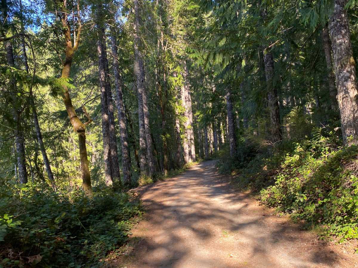 Big Bay Recreation Site photo 3