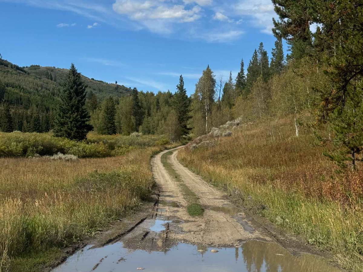 Ditch Creek Road photo 4