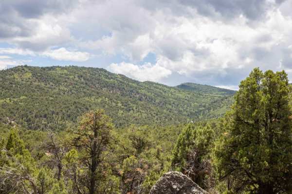 Soldier Canyon to Rex's Reservoir Road