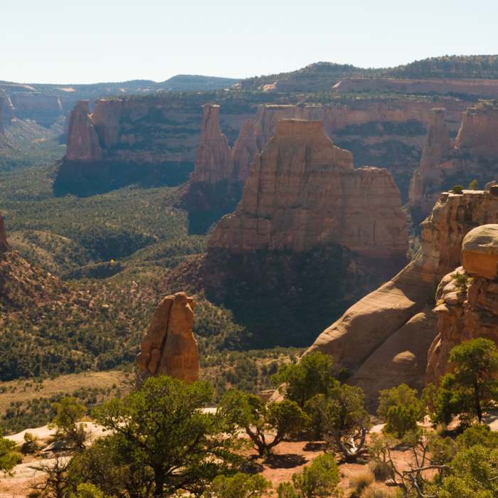 Near Window Rock Trail