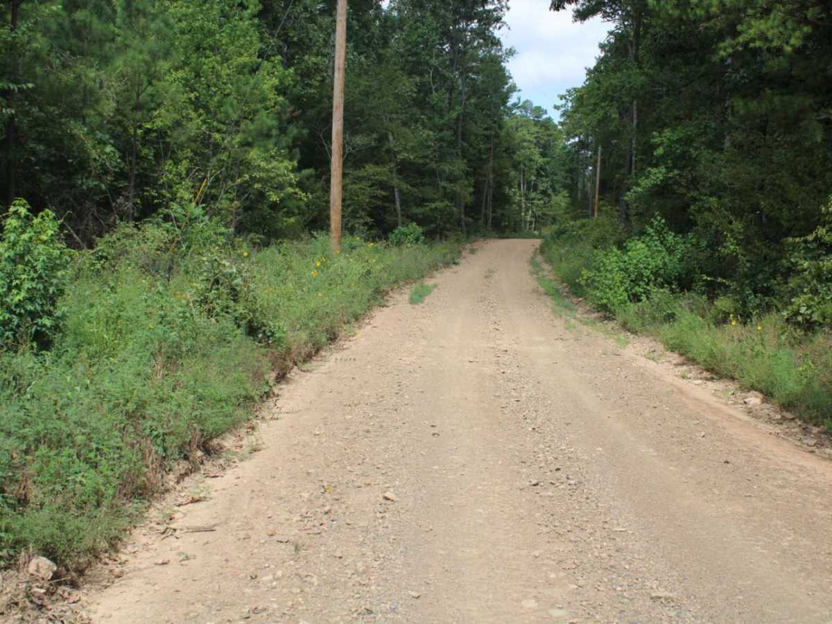 Round to Henson School Road photo 2