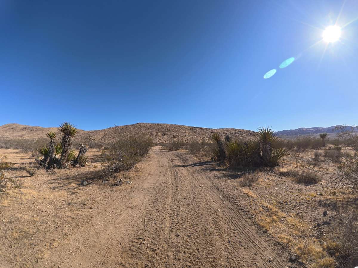 BLM SV2627 photo 4