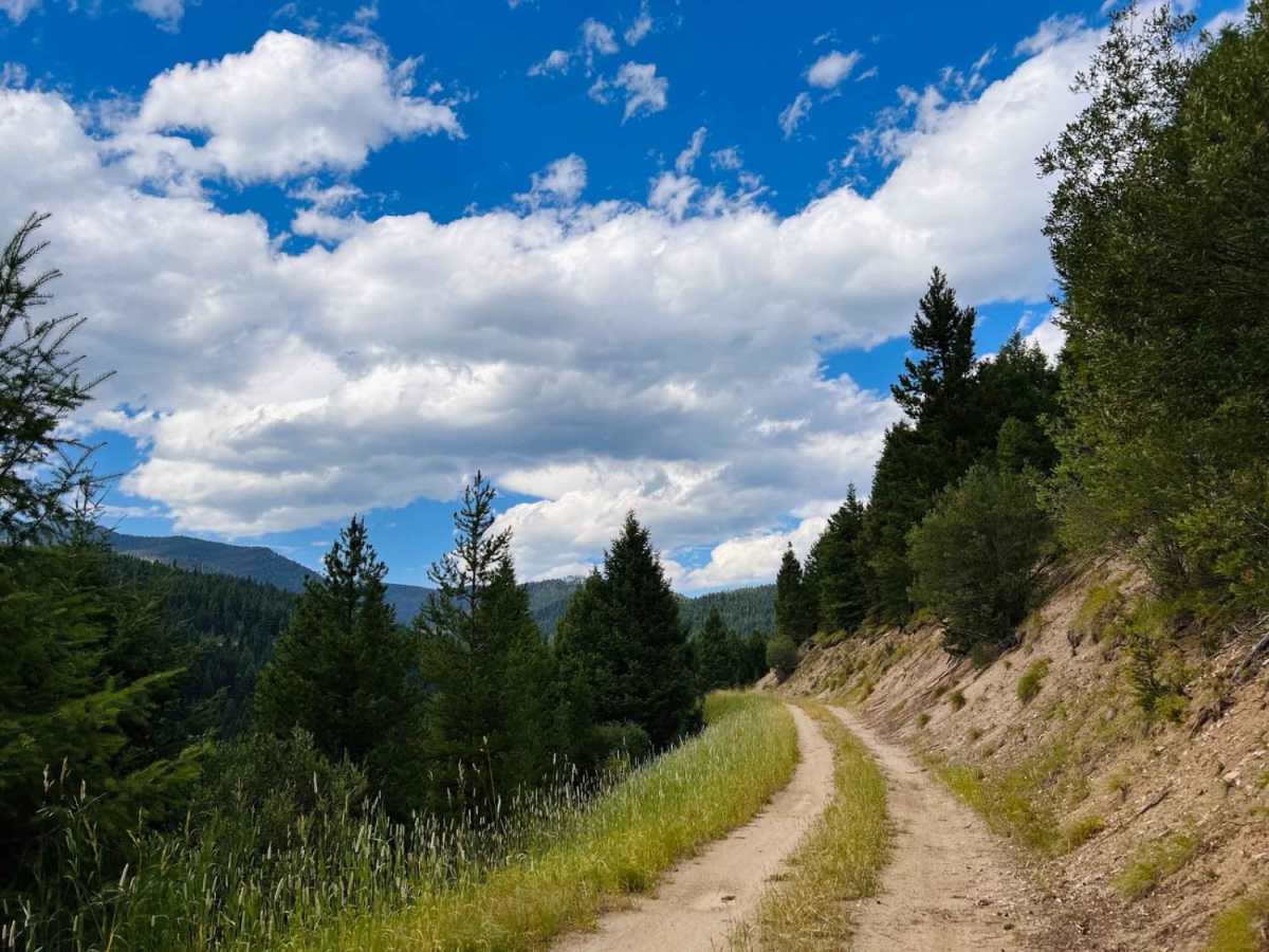 Bush Moose Ridge trail photo