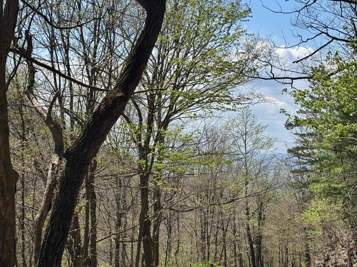 Nittany Ridge Road photo 4