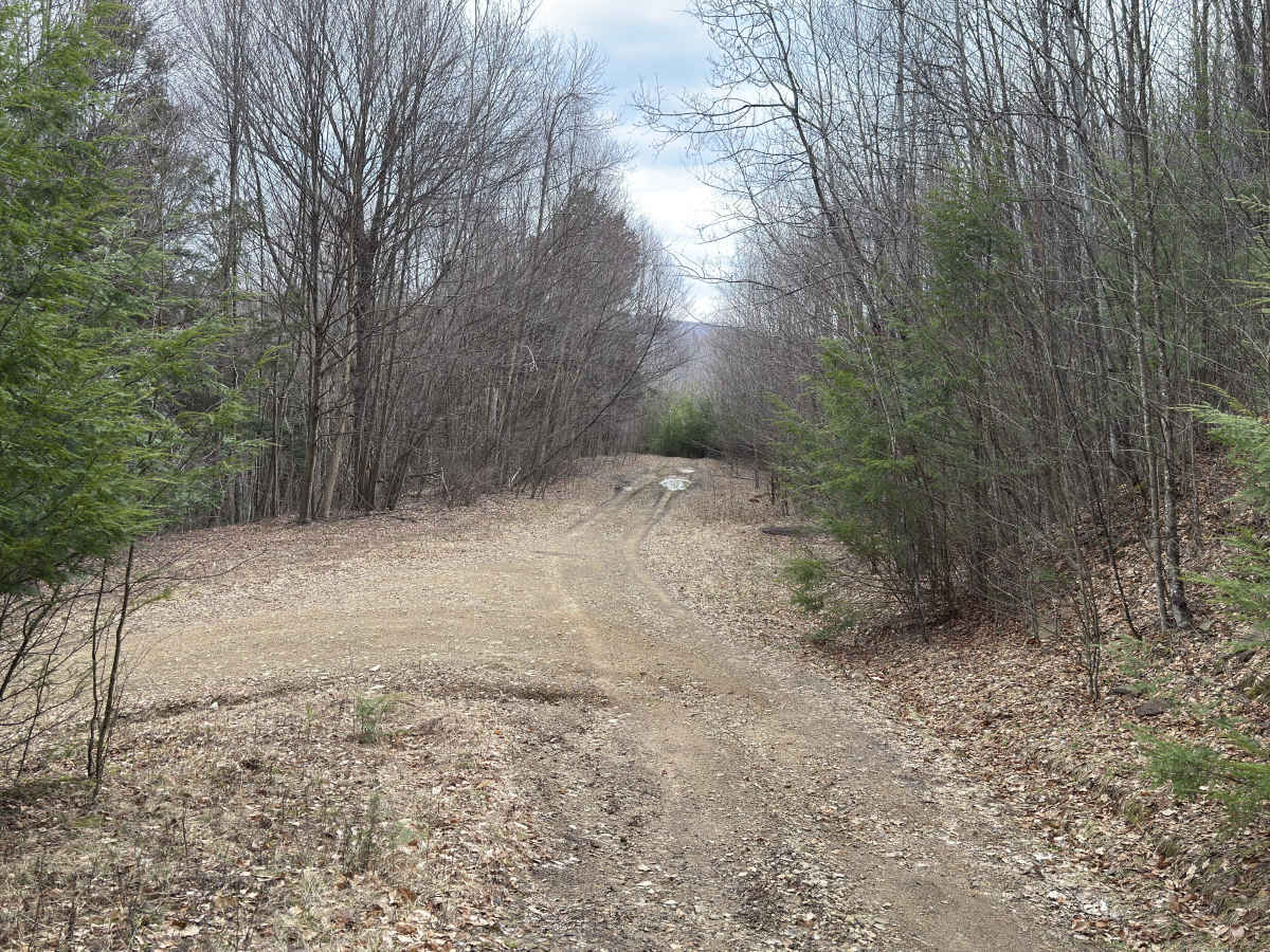 Colby Run - FS 02338 photo 6