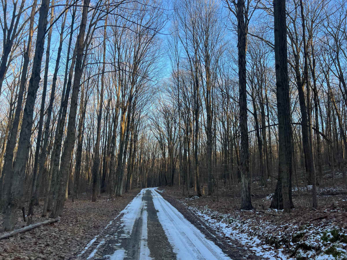 Moose Grade Road photo 3