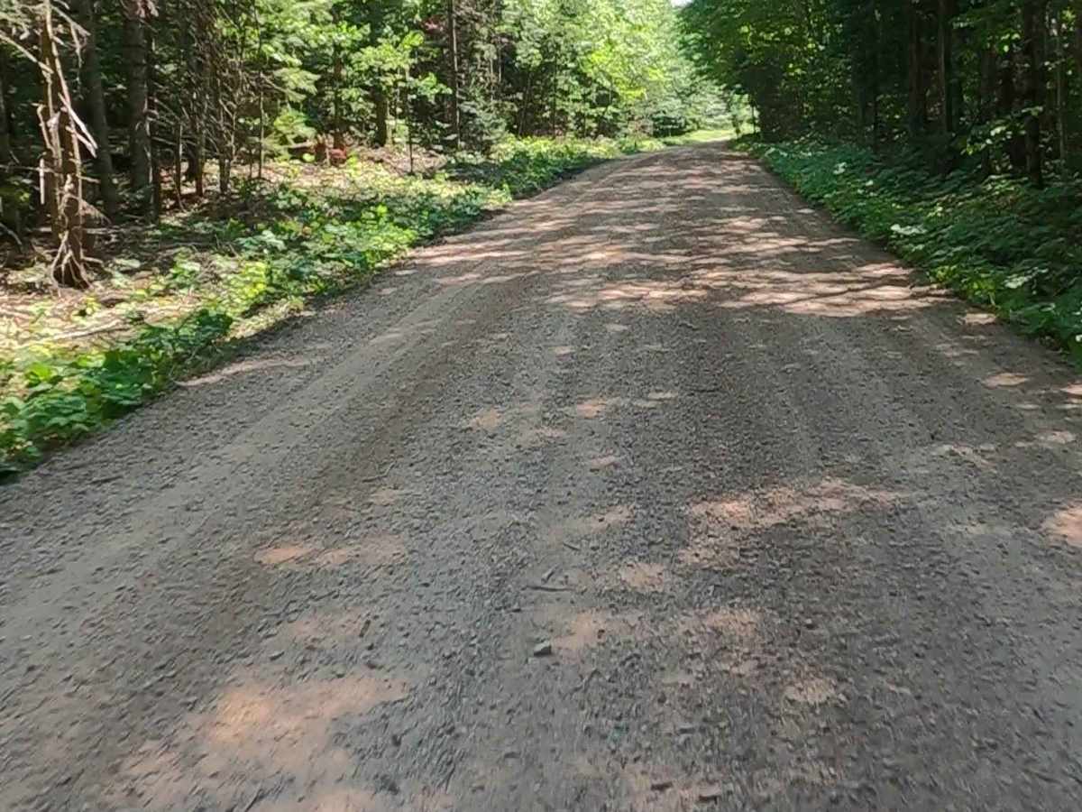 Buck Bay Road - FSR 2272 photo 4