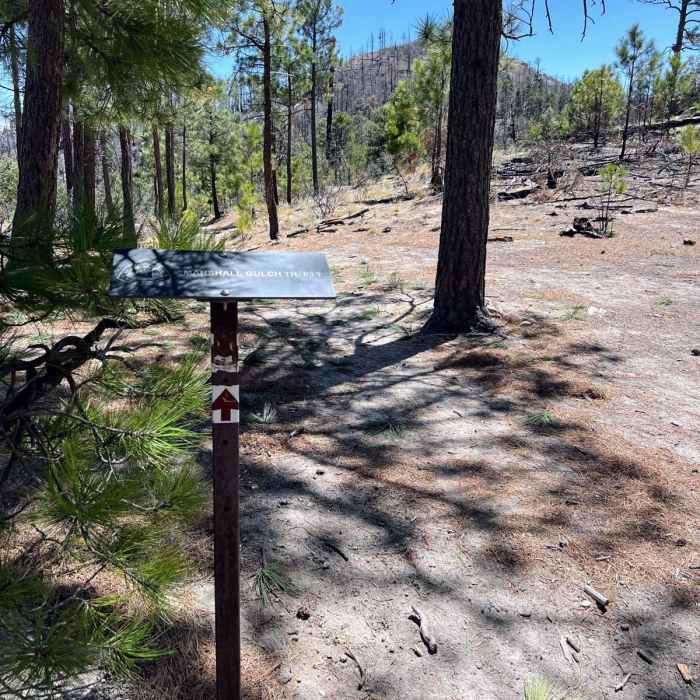 Near Sutherland Loop