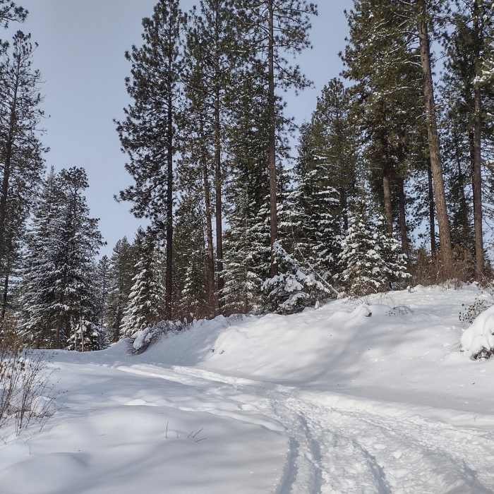 Rathdrum Mountain trails blanketed in fresh snow on a pretty mid January day. Near Reservoir Ridge Trail