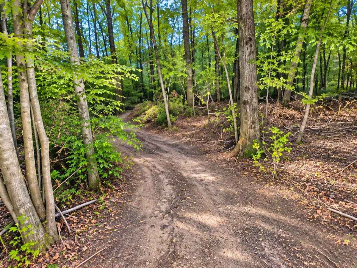 Shoals Lane photo 5