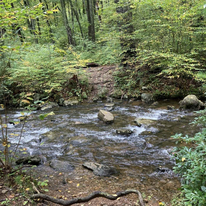 Near White Rocks Trail