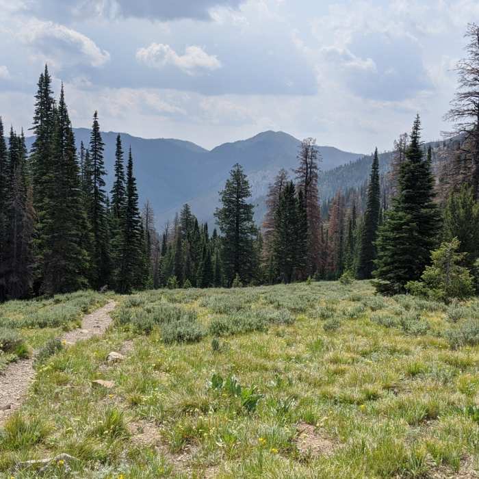 Near Norton-Big Lost Lakes Loop