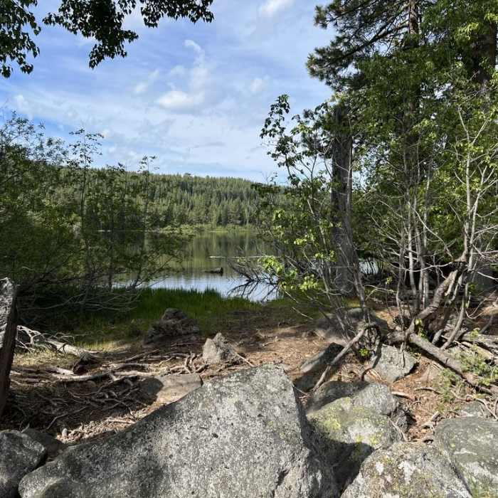 Near Manzanita Lake Loop Trail