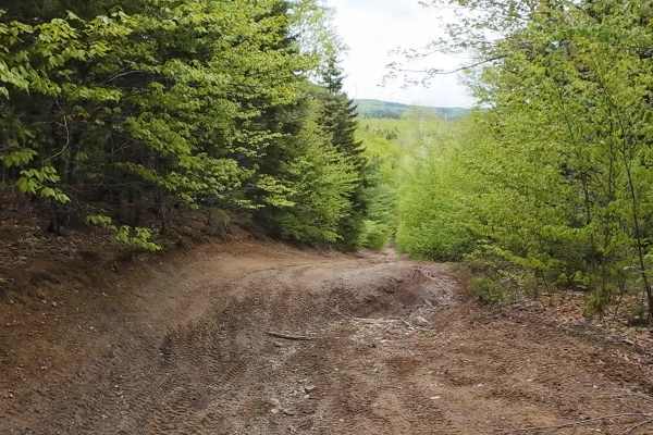 Prosser Brook Lookout