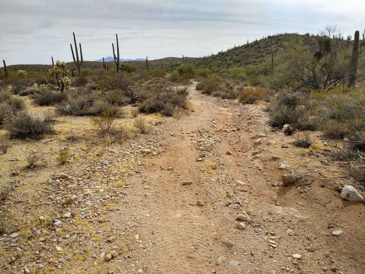 Davis Pathway photo 2