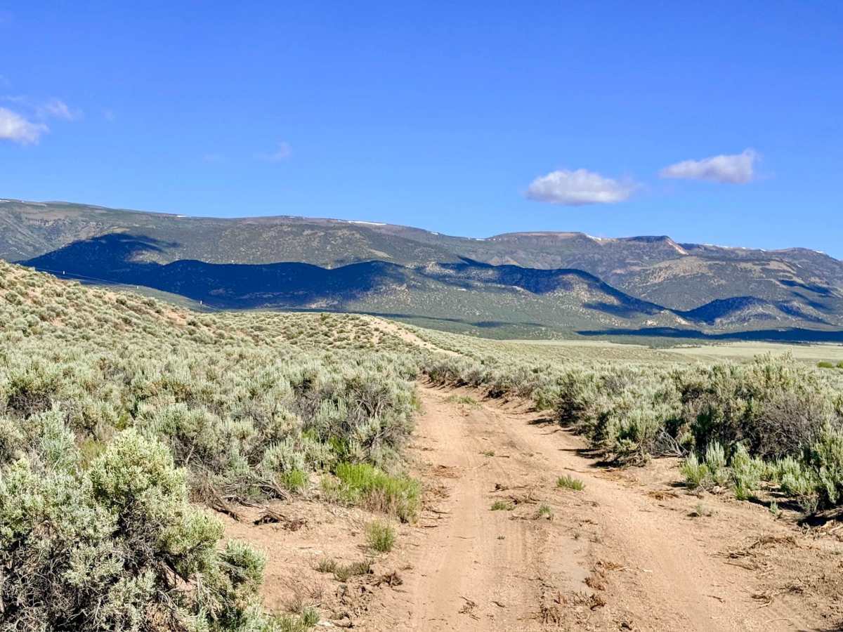 Bottom Road - FS 44809 photo 5